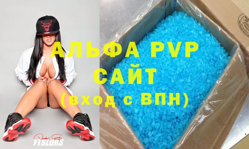 A PVP СК КРИС  Шебекино 